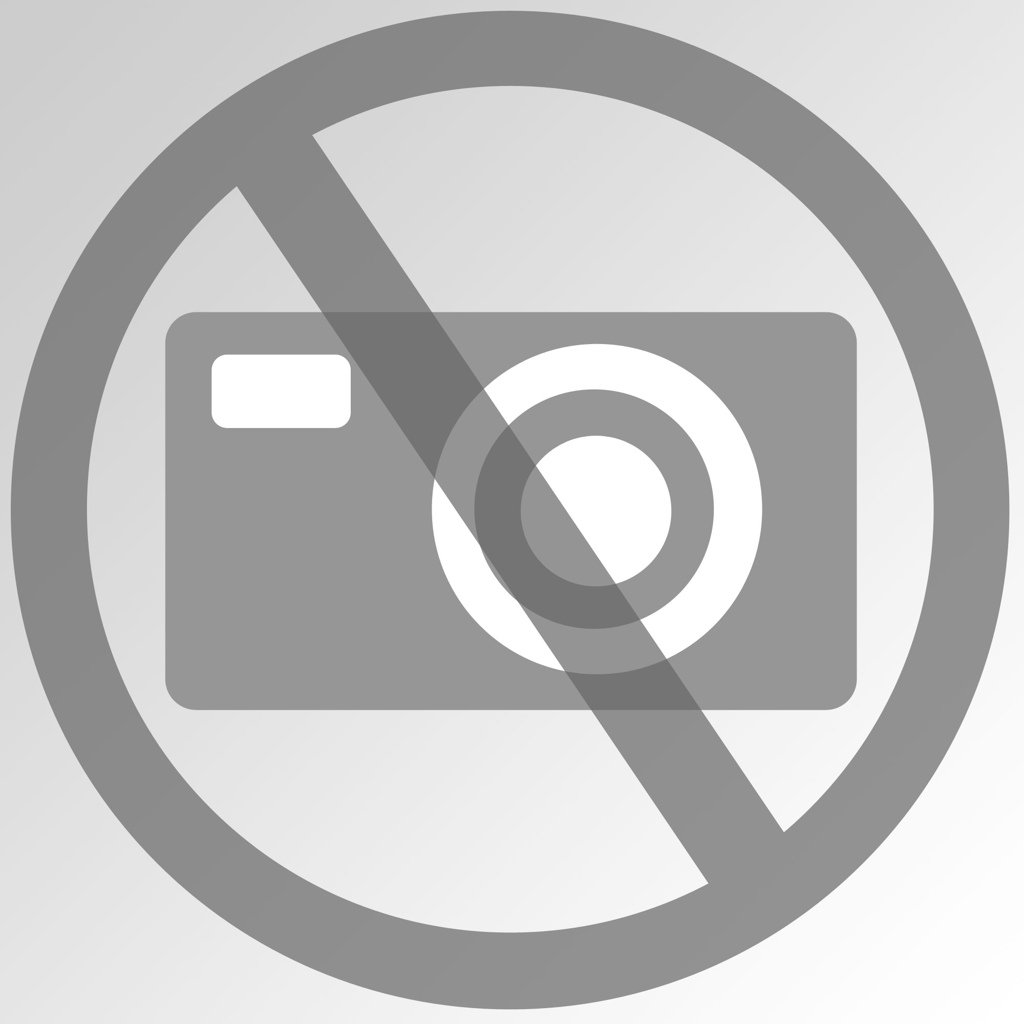 Evo Euro 4 Security Reinigungswagen Ehygiene